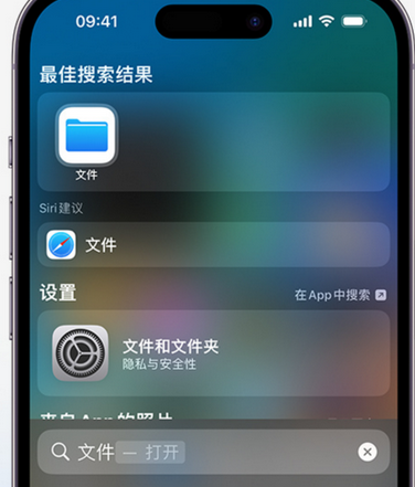 桃源apple维修中心分享iPhone文件应用中存储和找到下载文件 