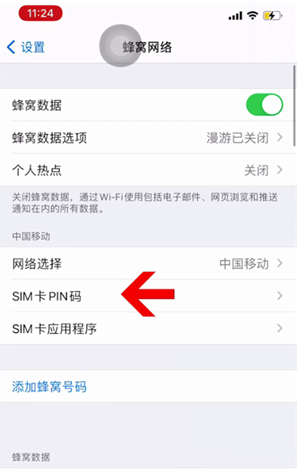 桃源苹果14维修网分享如何给iPhone14的SIM卡设置密码 