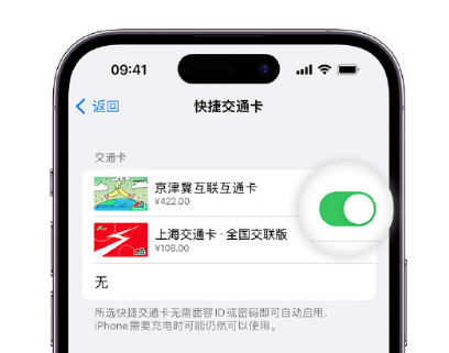 桃源apple维修点分享iPhone上更换Apple Pay快捷交通卡手绘卡面 