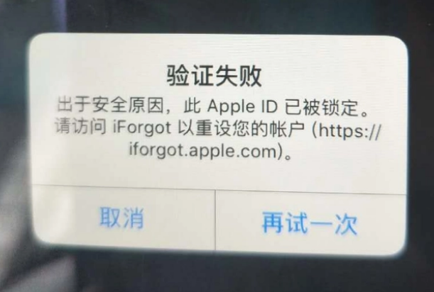 桃源iPhone维修分享iPhone上正常登录或使用AppleID怎么办 