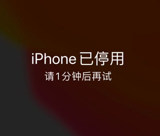 桃源苹果手机维修分享:iPhone 显示“不可用”或“已停用”怎么办？还能保留数据吗？ 