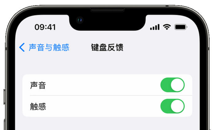 桃源苹果手机维修分享iPhone 14触感键盘使用方法 