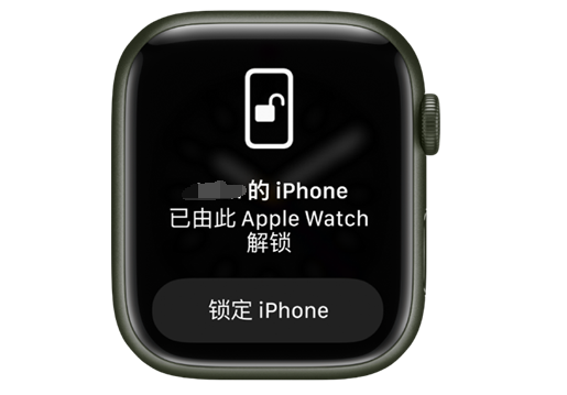 桃源苹果手机维修分享用 AppleWatch 解锁配备面容 ID 的 iPhone方法 