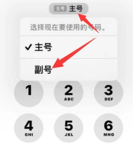 桃源苹果14维修店分享iPhone 14 Pro Max使用副卡打电话的方法 