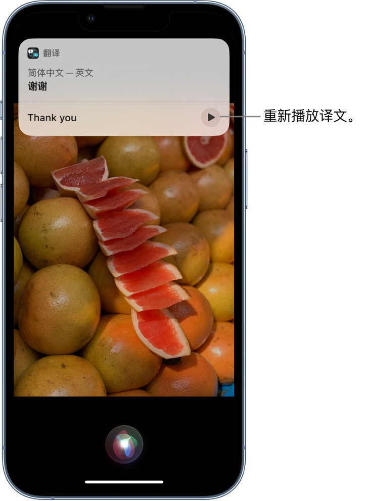 桃源苹果14维修分享 iPhone 14 机型中使用 Siri：了解 Siri 能帮你做什么 