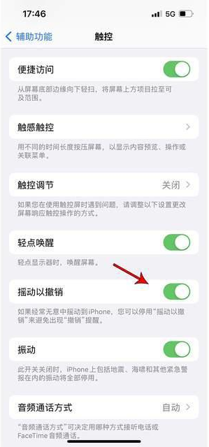 桃源苹果手机维修分享iPhone手机如何设置摇一摇删除文字 