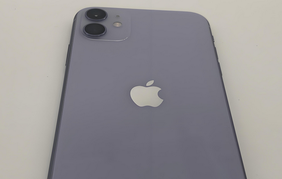桃源苹果11系统维修分享iPhone11手机系统崩溃无法开机如何解决