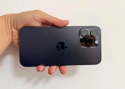 桃源苹果维修点分享iPhone 14 Pro Max黑屏少见故障盘点 